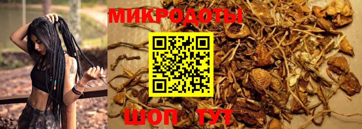 Галлюциногенные грибы MAGIC MUSHROOMS  Вход с VPN  Галлюциногенные грибы Magic Shrooms  Ростов-на-Дону 