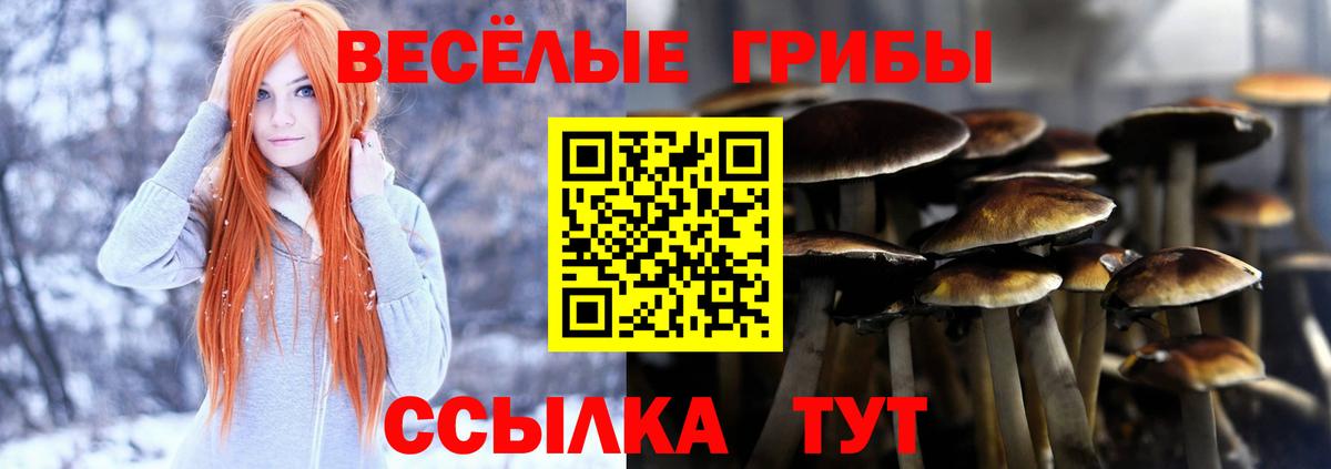 Галлюциногенные грибы Magic Shrooms Ростов-на-Дону